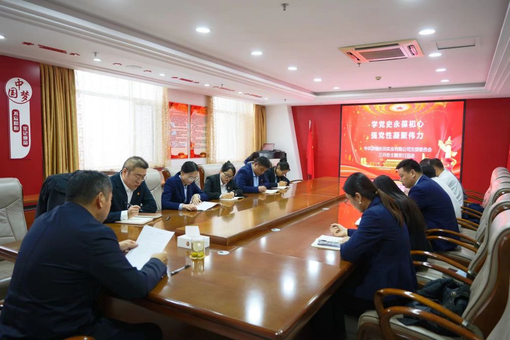 【长田党建】学党史永葆初心 强党性凝聚伟力——长田实业党支部召开3月份主题党日会议