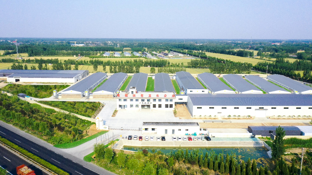 长田乐享超鲜蛋农场