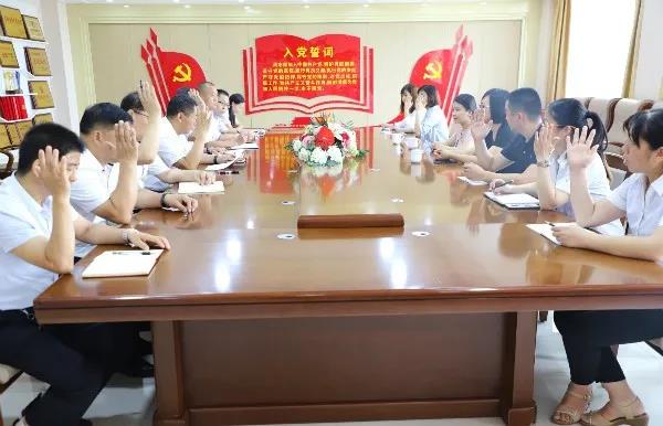 长田实业党支部召开入党积极分子确定为发展对象会议 长田实业党支部召开入党积极分子确定为发展对象会议