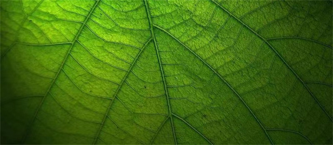 1674464640143642.jpg 3_副本1.jpg