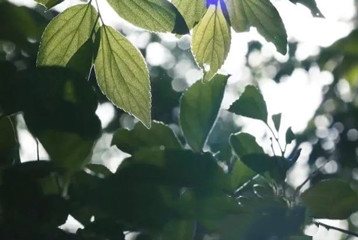 寻找百名困境儿童，聆听童音，护苗成长