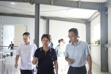 【长田动态】区人大常委会副主任杨玉美一行莅临易丰农业调研